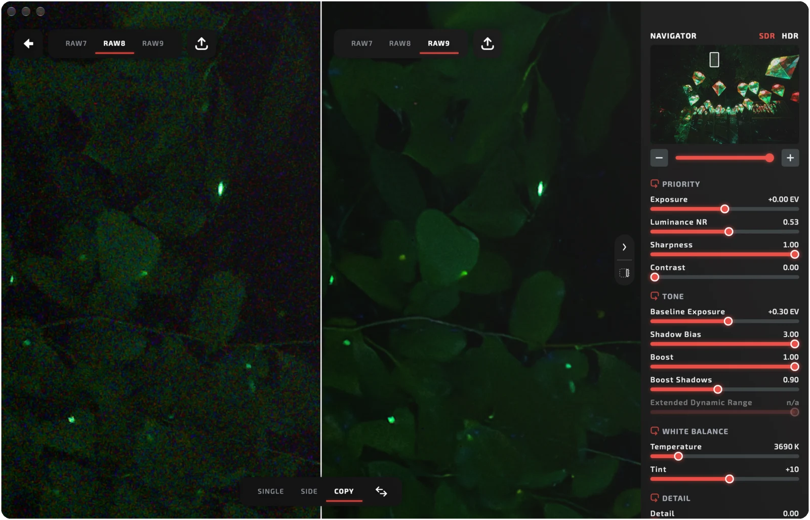 RAWtoy comparing the RAW 8 and RAW 9 decoders on the same photo, with the adjustment panel alongside