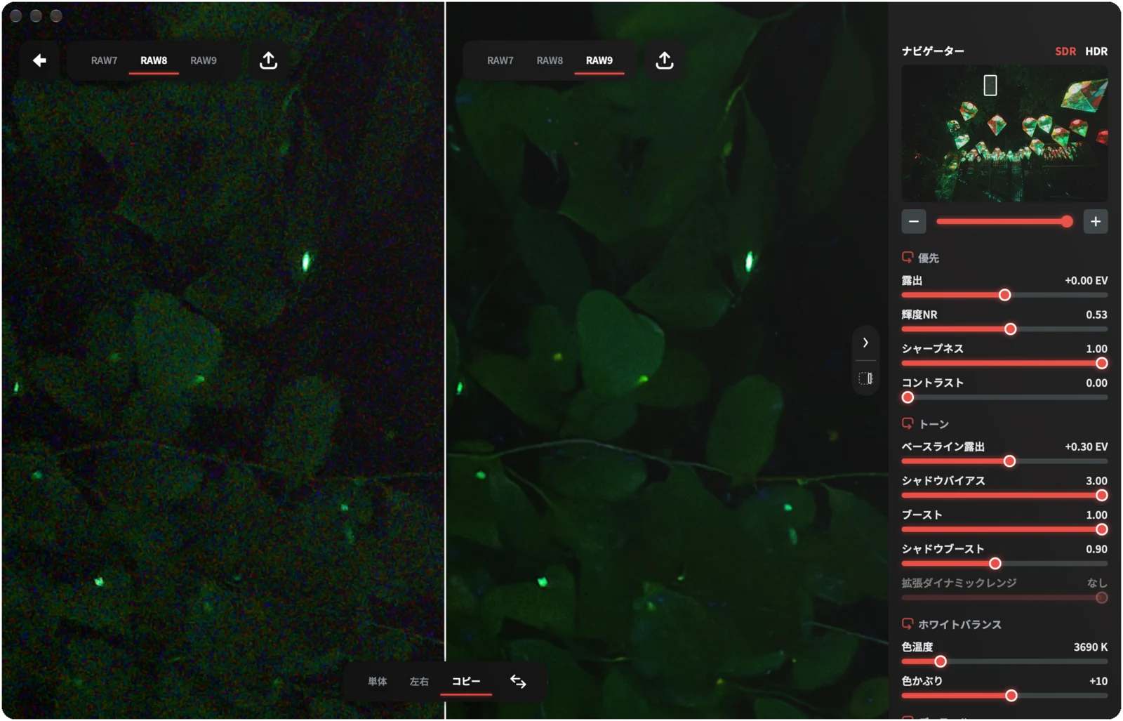 同じ写真でRAW 8とRAW 9のデコーダを比較するRAWtoyと、隣に並ぶ調整パネル